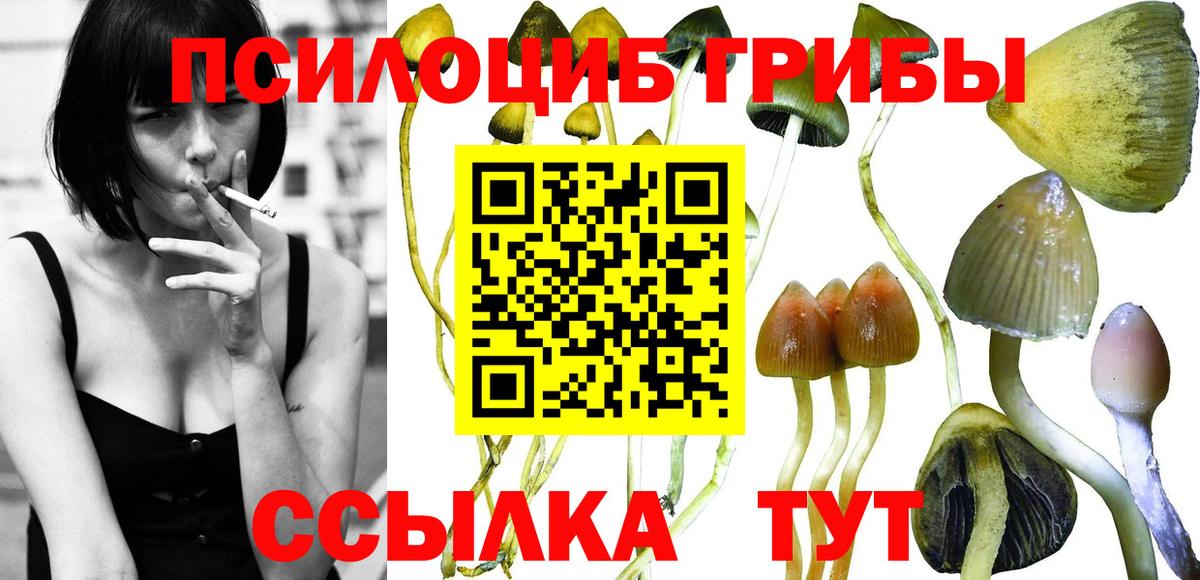 Псилоцибиновые грибы Magic Shrooms  Вход с VPN  Артёмовский 